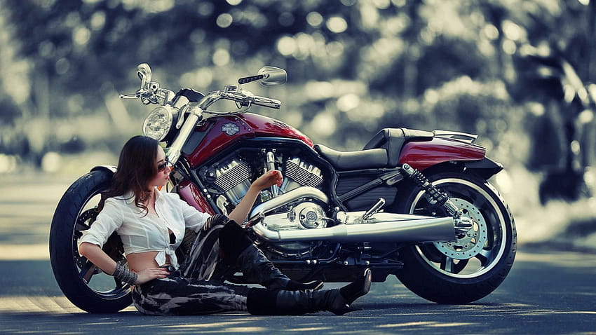 Harley Davidson Bikes, cruiser bike HD wallpaper | Pxfuel