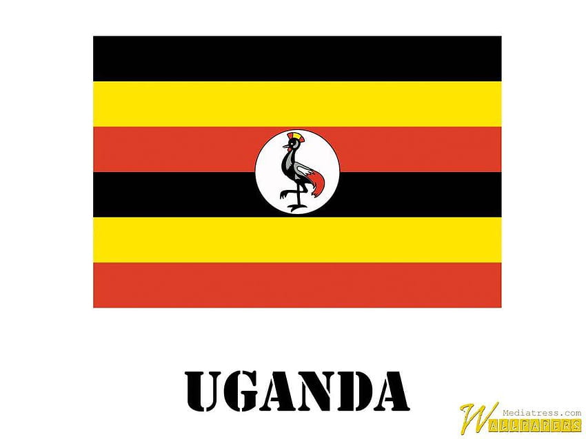 Uganda Flag HD wallpaper