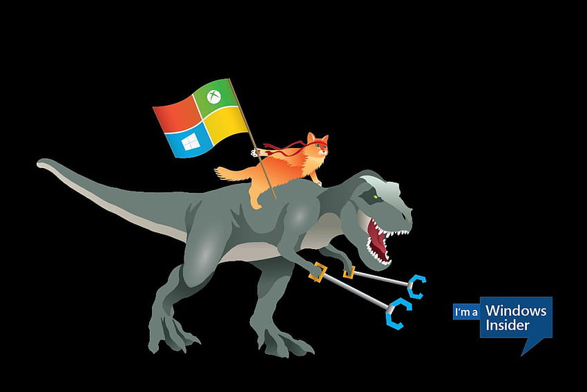Microsoft's Windows ninja cat now rides a Tyrannosaurus rex in, cat ninja HD wallpaper
