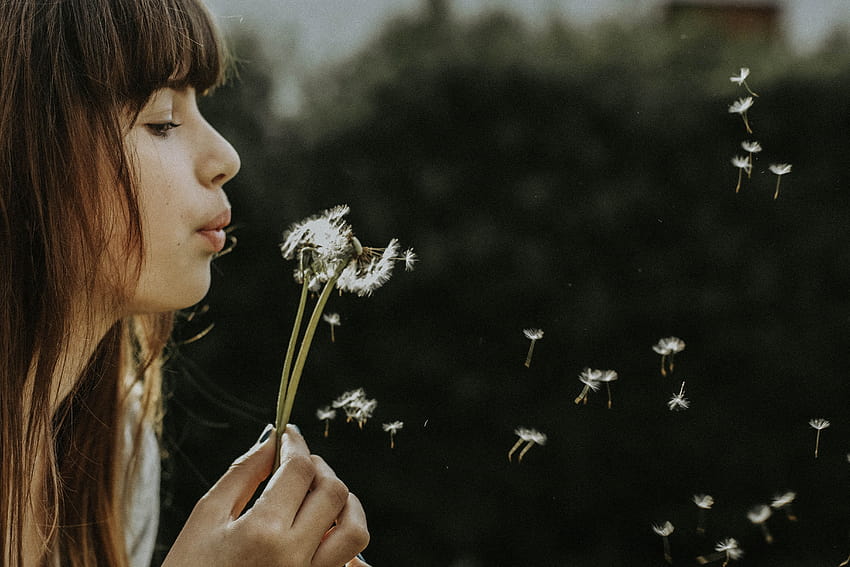 5399945 4851x3234 backgrounds, girl and dandelion HD wallpaper