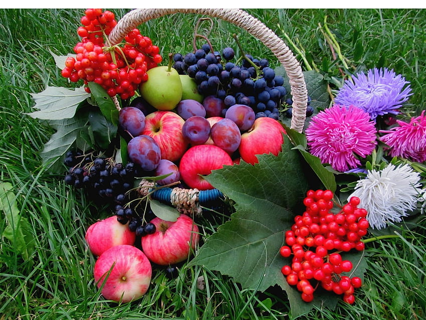 Owoce, trawa, winogrona, jabłka, śliwki, jagody, kwiaty, kwiaty i jagody Tapeta HD