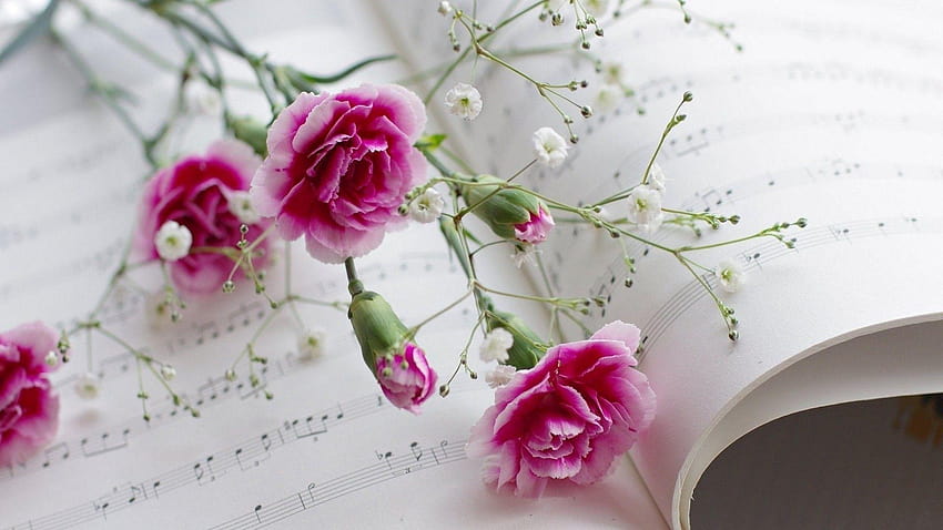 Flores cor de rosa e música, blumen papel de parede HD