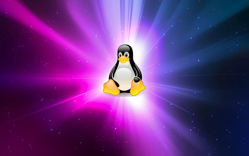 120 Linux, tux linux HD wallpaper
