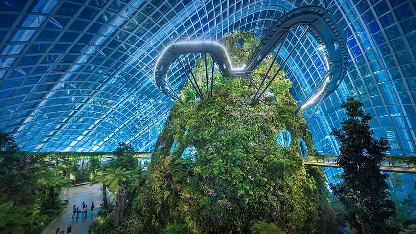 Bing : Gardens by the Bay nature park, Singapore HD wallpaper
