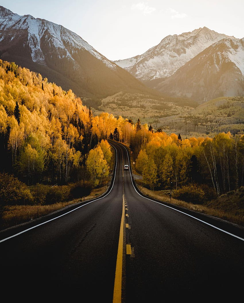 Пътувания през Телурайд, Колорадо, есенен пътен маршрут в гора HD тапет за телефон