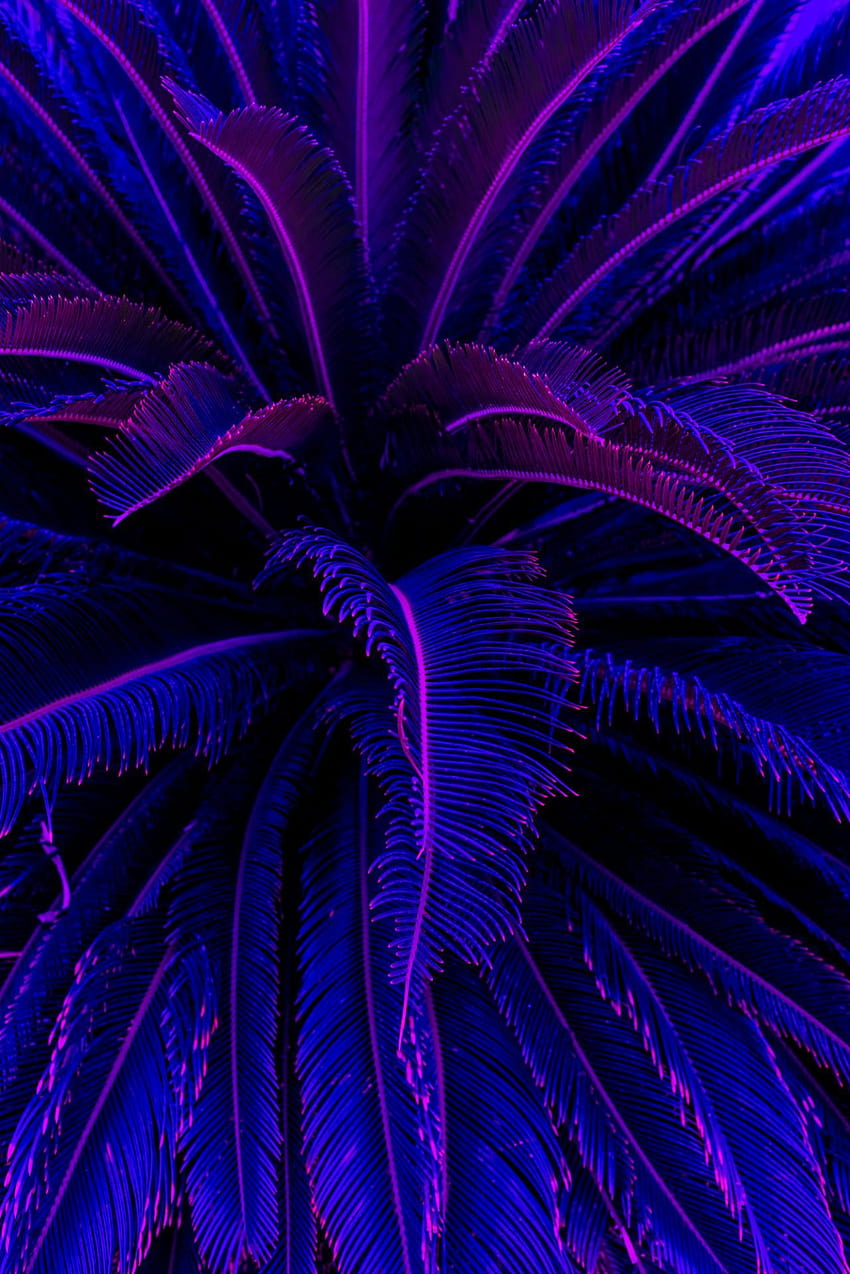 jensawesomeworld, purple gaming aesthetic HD phone wallpaper