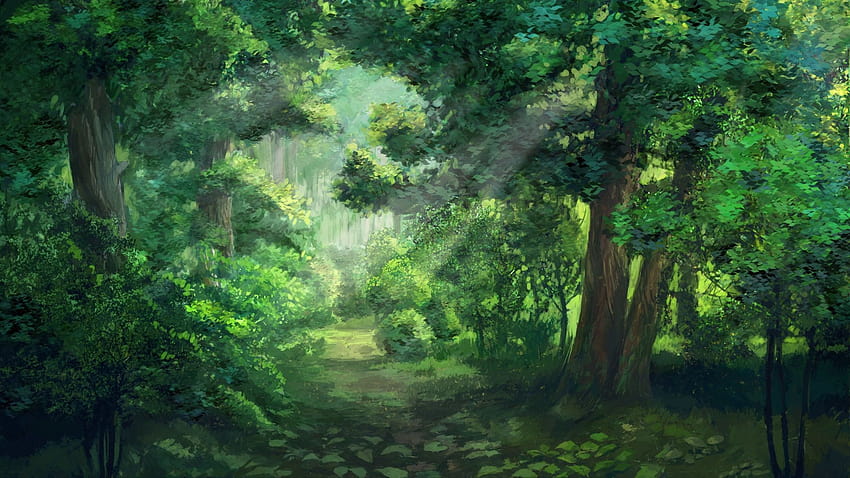 Floresta de anime, anime de selva papel de parede HD