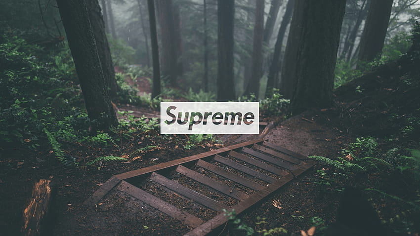 Supreme : Rainmeter, supreme woodland HD wallpaper