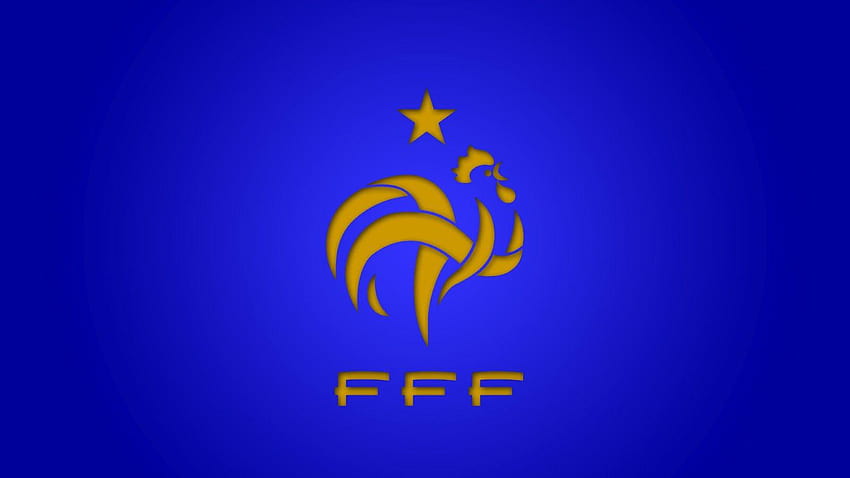 France football background Royalty Free Vector Image