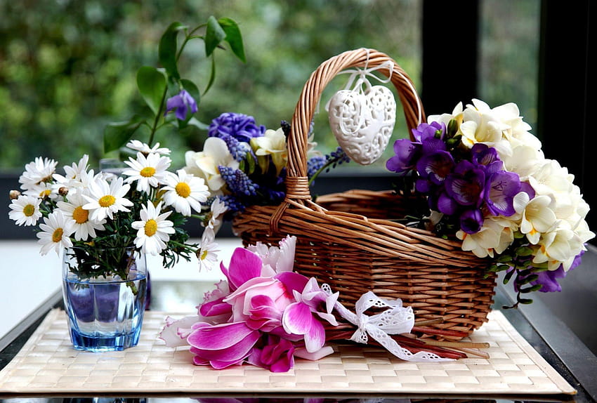Jacintos Flores ciclâmen sia cesta de camomila, cesta de flores papel de parede HD