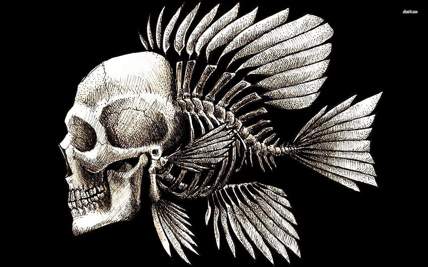 인간의 두개골과 물고기 뼈대, 인간의 뼈대 HD 월페이퍼
