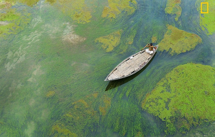 藻類、川、船頭、バングラデシュ、セクション природа、バングラデシュの冬 高画質の壁紙