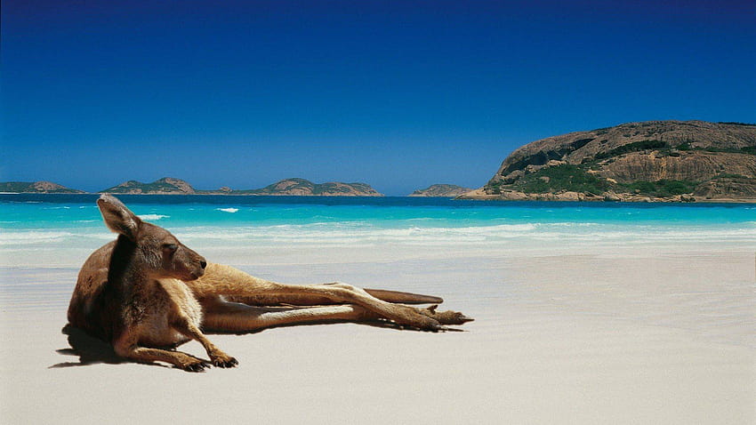 Australischer Strand, Computer Australien HD-Hintergrundbild