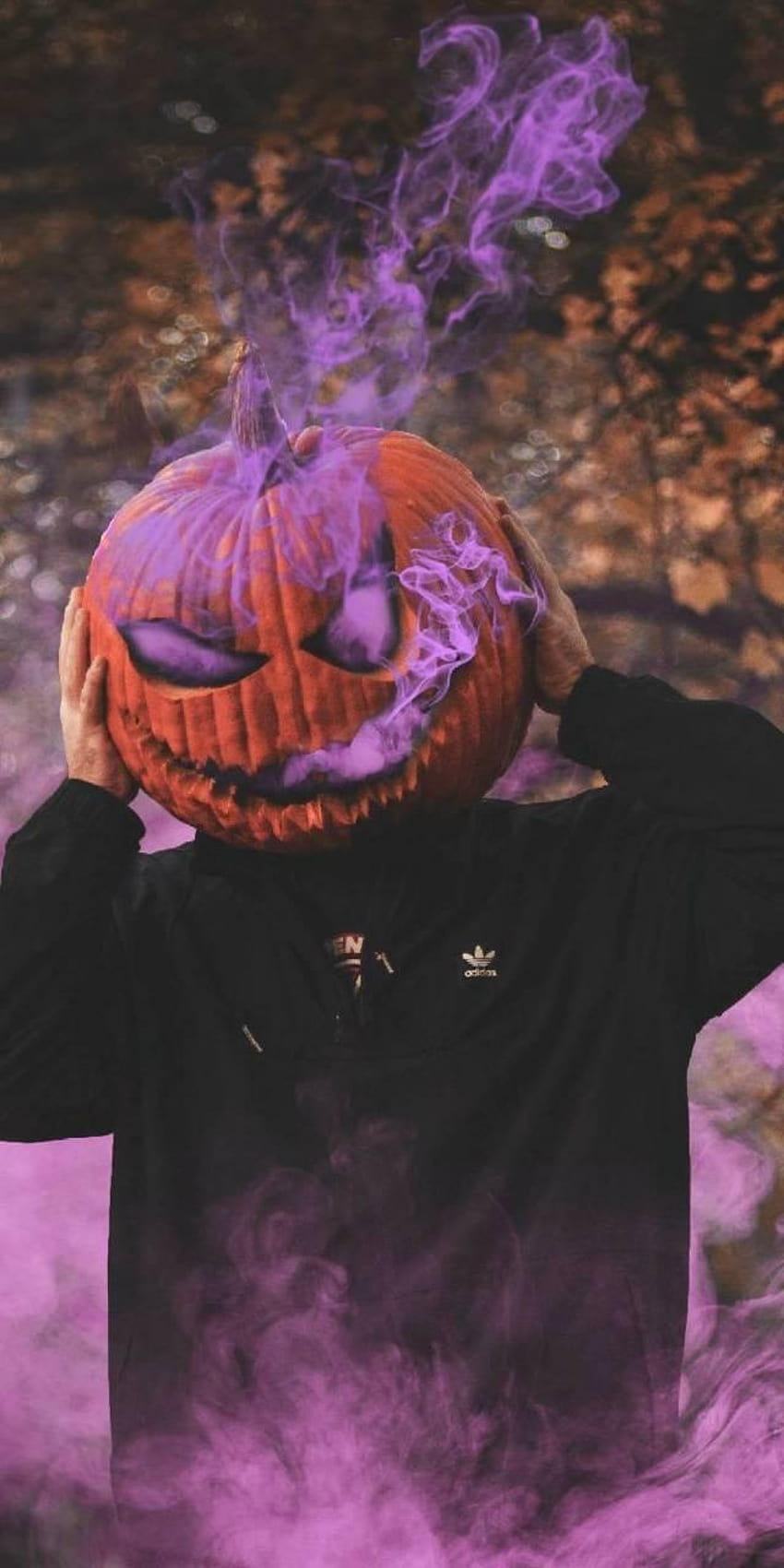 Pumpkin head by kush_king_living, halloween pumpkin heads HD phone wallpaper