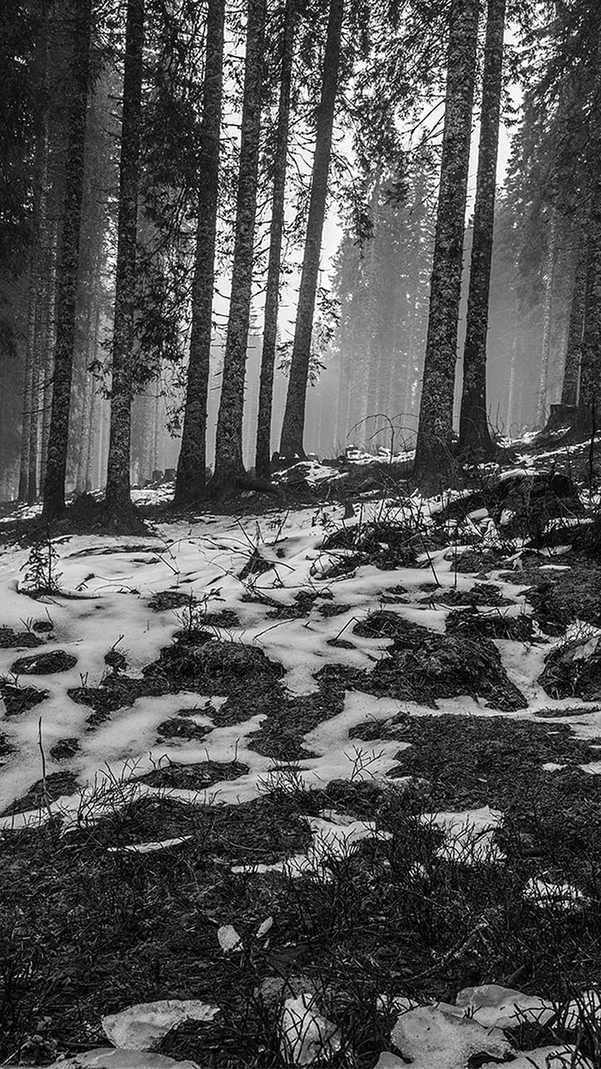 Mountain Snow Woods Nature Ciemny Bw iPhone 8, ciemny ze śniegiem Tapeta na telefon HD