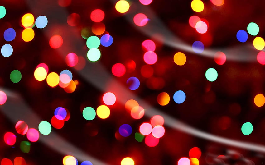 Christmas Lights, christmas dog light HD wallpaper