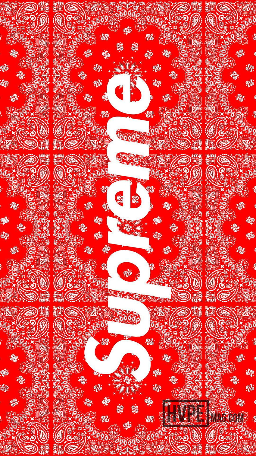 Gucci, Cool Supreme Gucci HD phone wallpaper