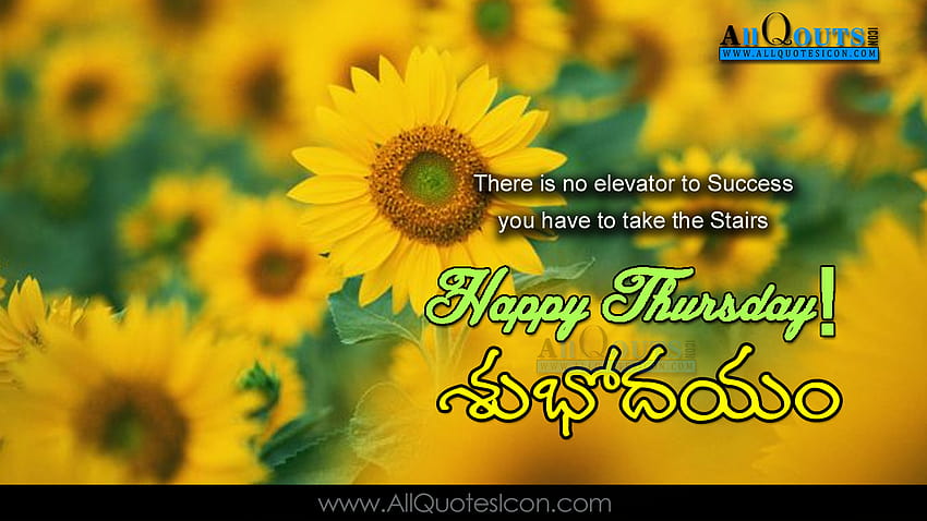 Happy Thursday Best Telugu Good Morning Quotes and Sayings for Friends HD wallpaper