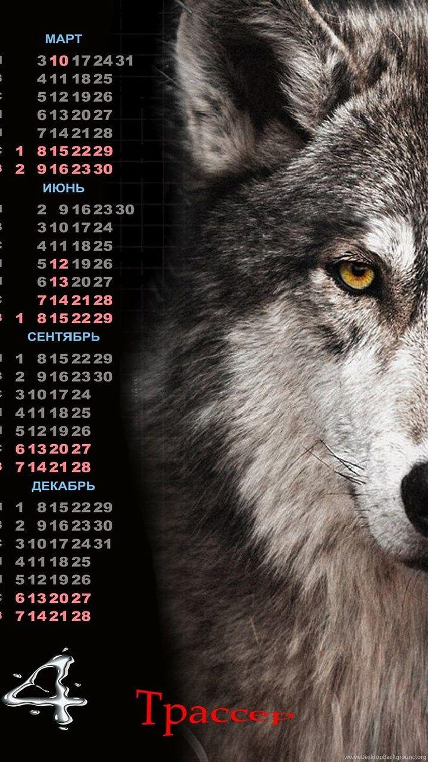 Lone Wolf Wallpaper HD - 4K Backgrounds APK for Android Download