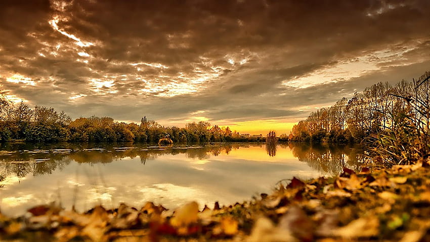 Autumn Lake Sky Gloomy Cloudy Leaves HD wallpaper