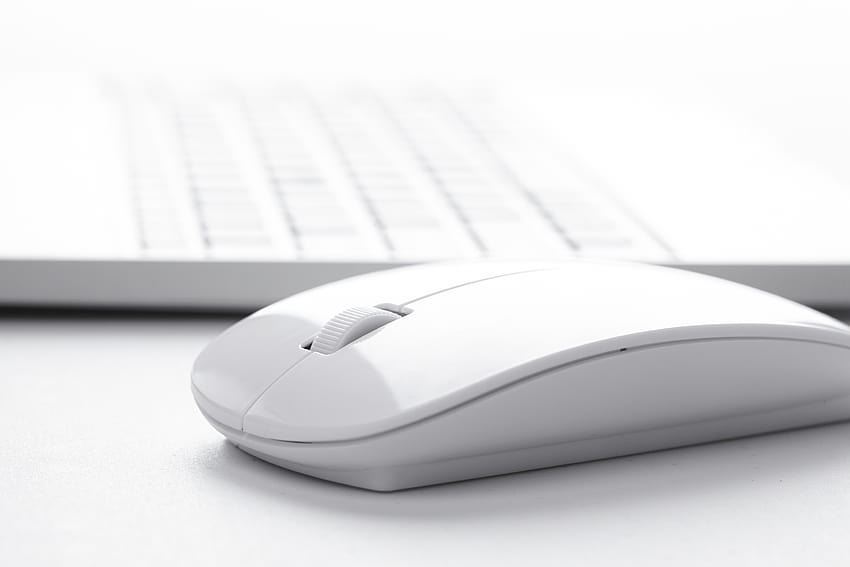 Who Invented the Computer Mouse?, input devices HD wallpaper