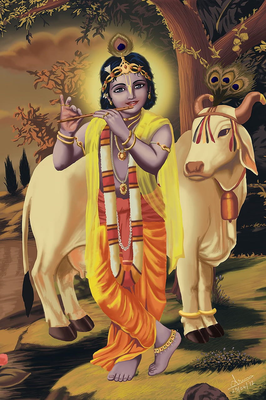 Krishna With Cow HD phone wallpaper | Pxfuel
