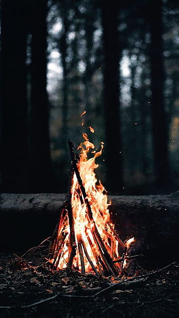 Bushcraft [] HD phone wallpaper | Pxfuel