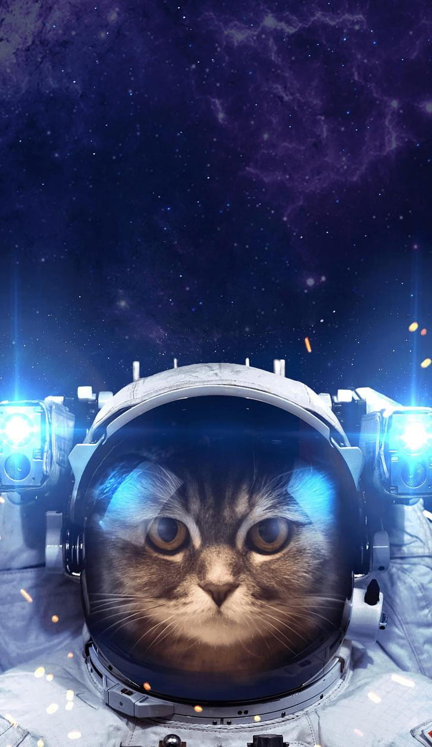 : Astronauta, Gato, Teléfono, Superior, , Astronauta, Gato, Teléfono,gatos, En, Espacio, Iphone, astronauta móvil fondo de pantalla del teléfono