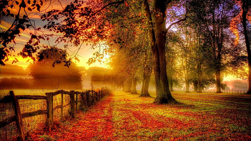 Nature with Colorful Autumn Forest [1920 x1080 HD wallpaper