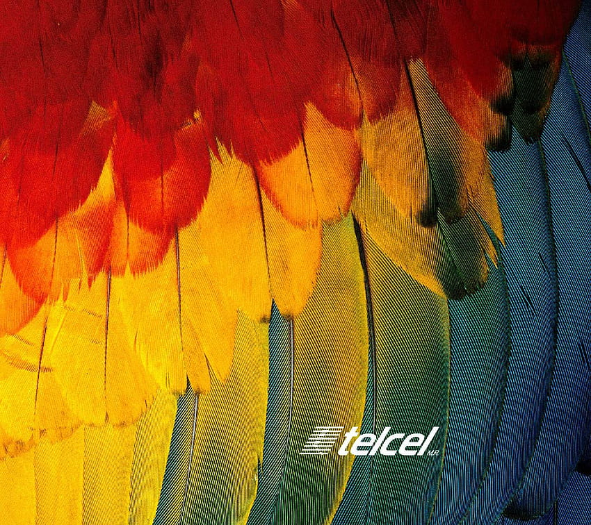 Land Scape Telcel by OzkharOfficial HD wallpaper