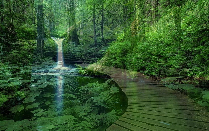 Original Waterfall Scenery & Bridge, Bambuswasserfall HD-Hintergrundbild