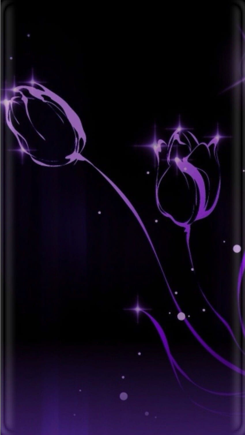 Purple Tulips on Black, dark purple tulip iphone HD phone wallpaper