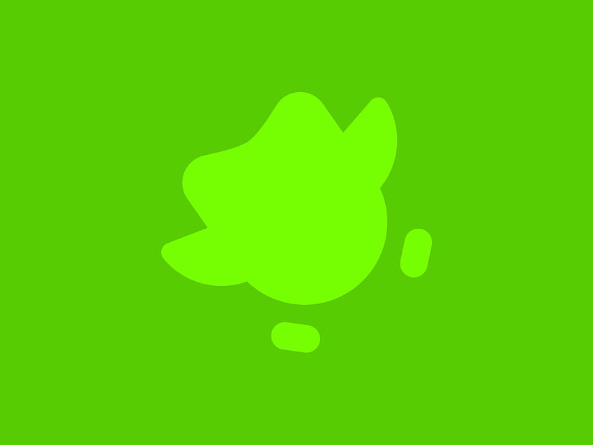 Duolingo Wallpapers  Top Free Duolingo Backgrounds  WallpaperAccess