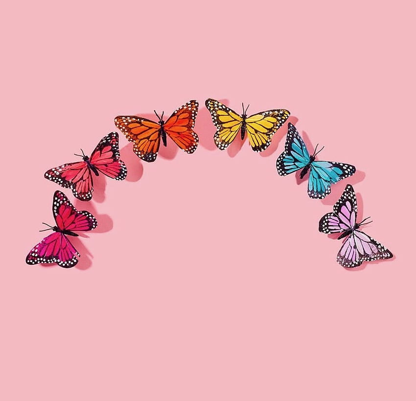 Pink Butterflies Wallpapers on WallpaperDog
