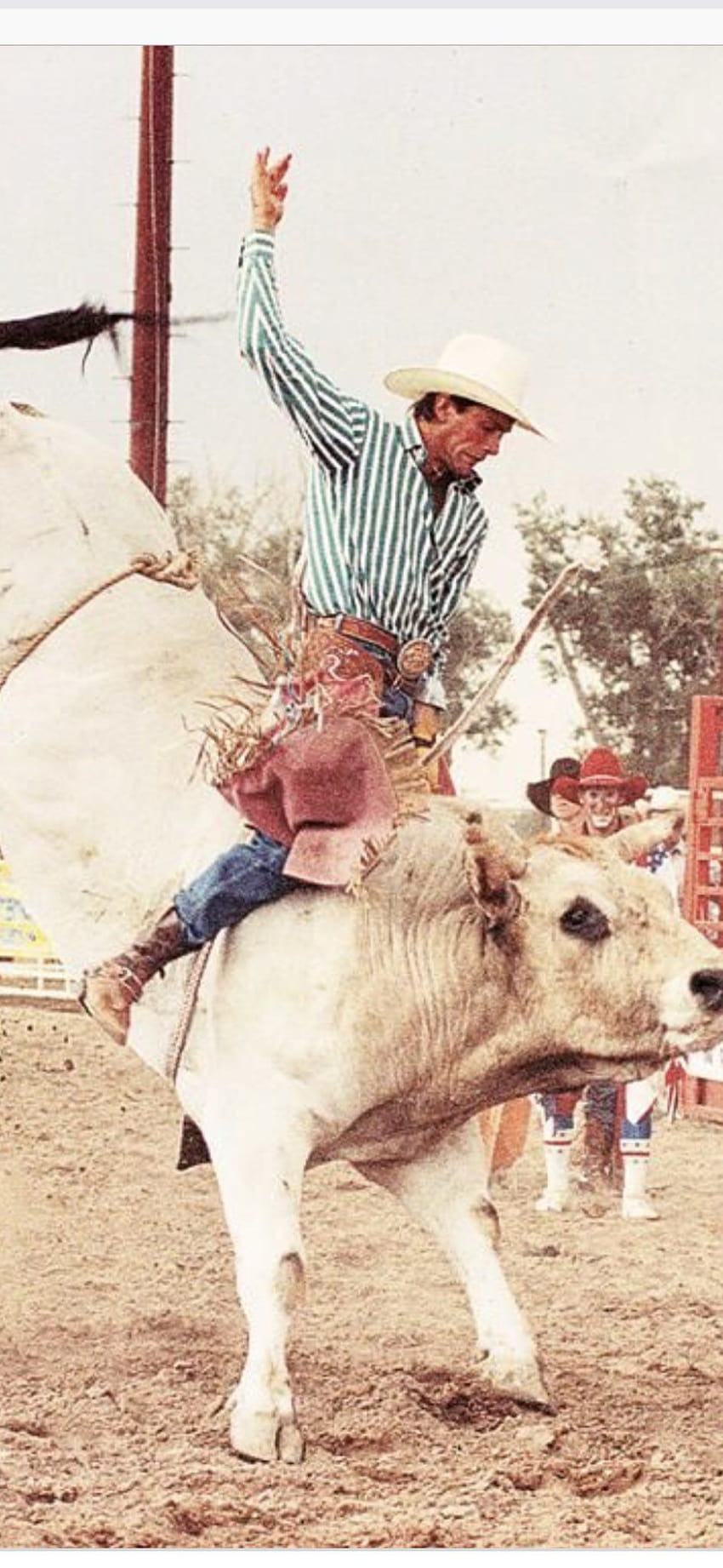 lane frost with his pink chaps HD phone wallpaper