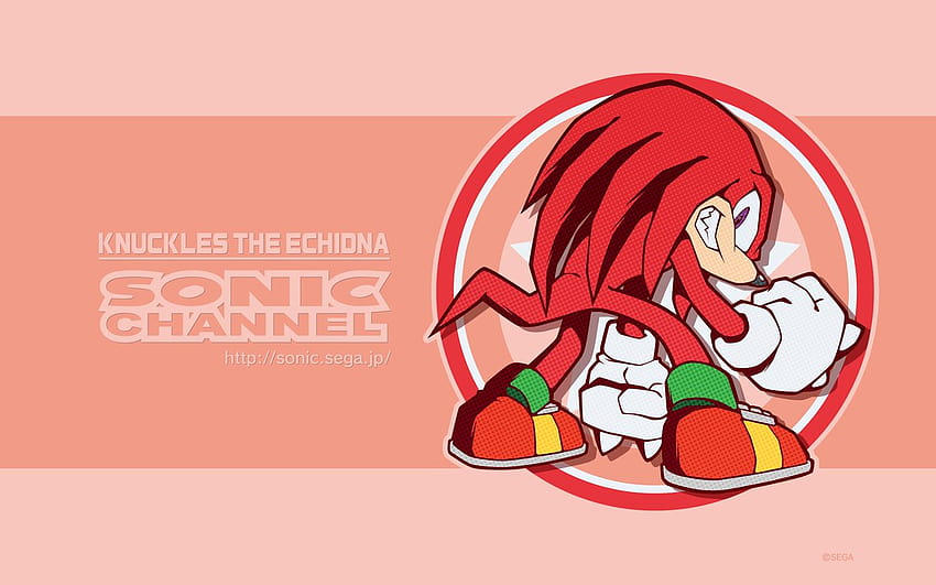 Knöchel Der Echidna Sonic Channel, Schall und Knöchel HD-Hintergrundbild