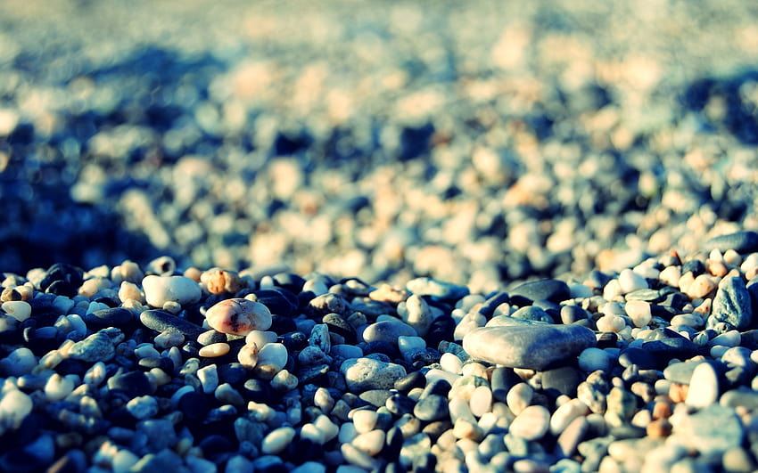 : food, rock, sand, blue, stone, gravel, flower, background, material, surface, crop, soil, produce, close up, macro graphy, pebble 2560x1600 HD wallpaper