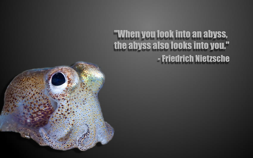 Existential Cephalopods Album on Imgur [1920x1080] for your , Mobile & Tablet HD wallpaper