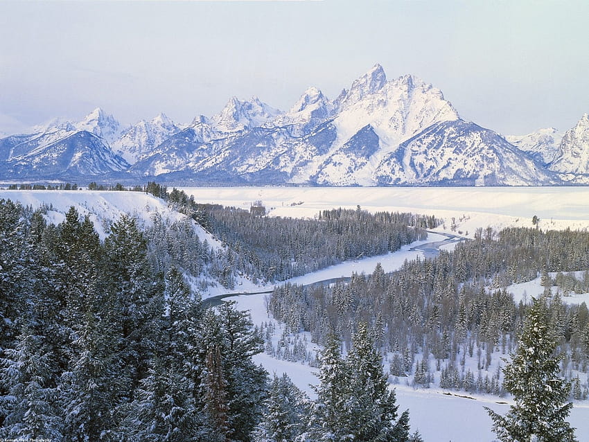 Winter Mountain Forest Wyoming HD   Pxfuel   Desktop   Winter Mountain Forest Wyoming Winter Mountain Forest 