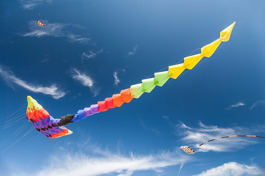 : outdoor, wing, sky, play, air, wind, flying, fly, summer, vacation, high, flight, action, blue, dom, colorful, extreme sport, leisure, toy, activity, fun, happiness, bright, joy, atmosphere of earth, windsports, kite festival HD wallpaper