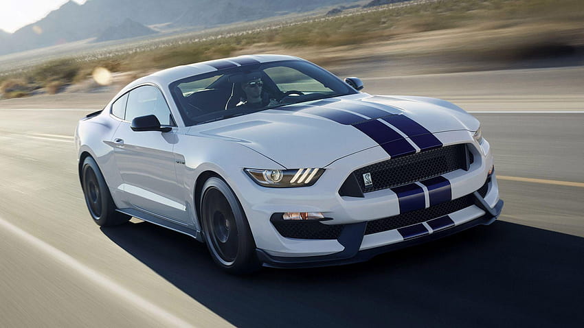 Ford Mustang GT350, ford mustang shelby gt350 HD wallpaper