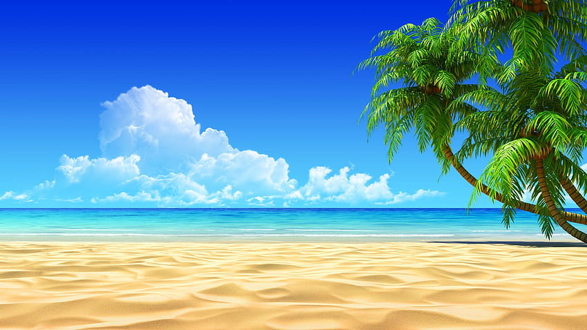 5 Panoramic Beach, tropical beach panorama HD wallpaper | Pxfuel