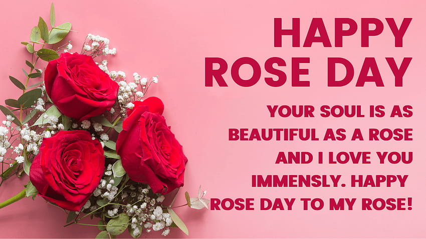 Happy Rose Day, 2022 valentines week days HD wallpaper | Pxfuel