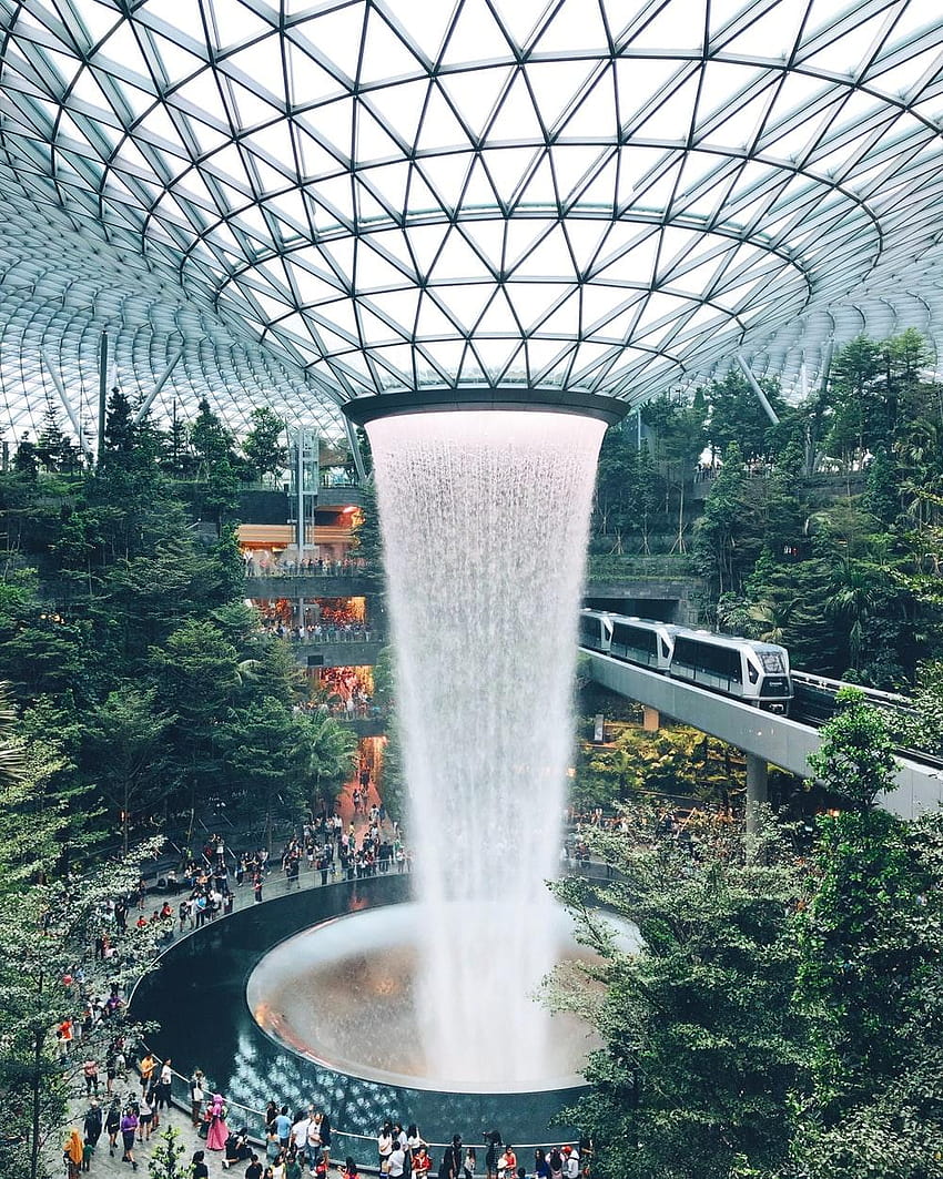 Singapore: New Jewel Changi Airport is a treat for jungle lovers