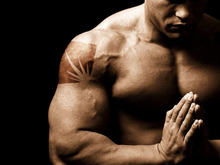 100 Body ❖ Muscles HD wallpaper