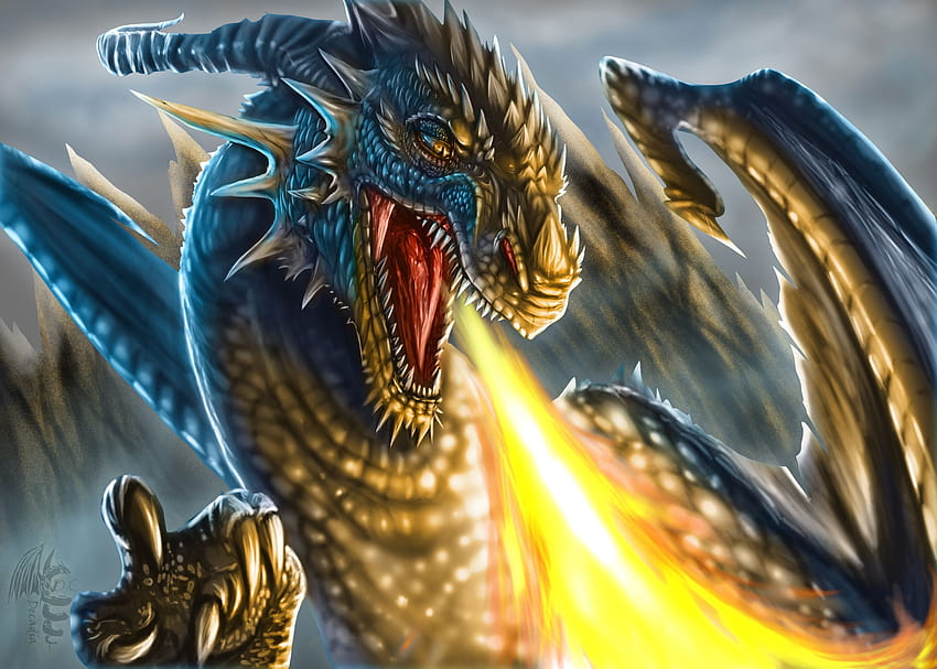 Fire Dragon, fire breathing dragon HD wallpaper