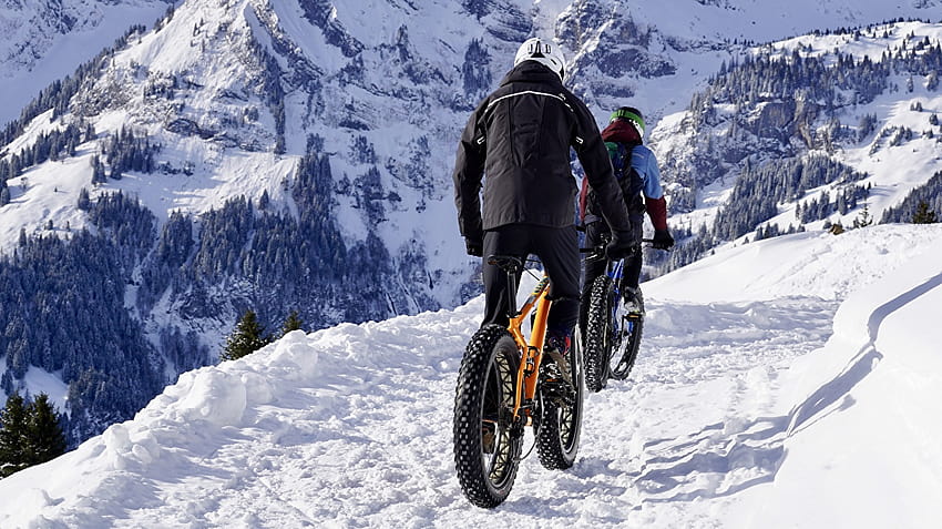 Bicycle Trail Winter Jacket Nature mountain Snow, bike winter HD wallpaper
