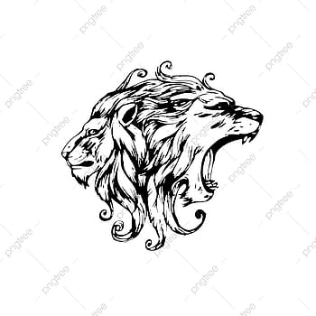 Lion vector png HD wallpapers | Pxfuel