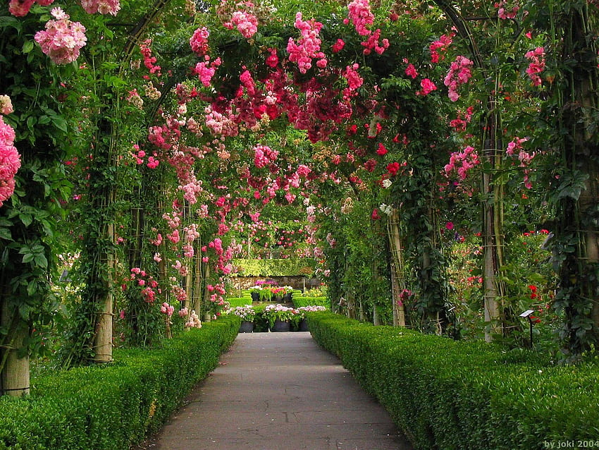 Rose Garden สำหรับ 2048 x 1536 px สวนอังกฤษ วอลล์เปเปอร์ HD
