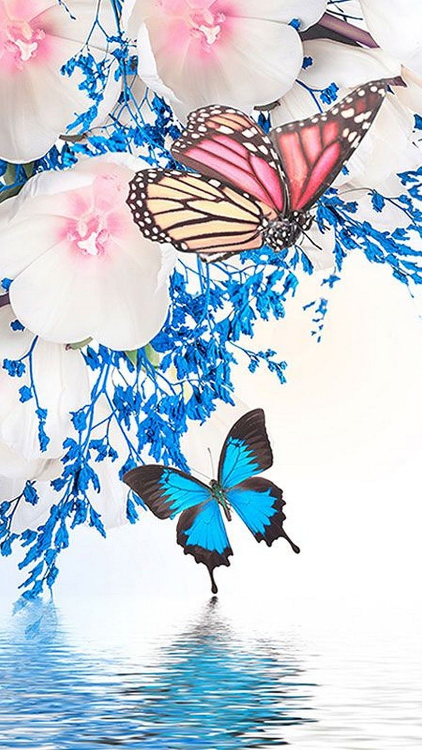Schmetterlings-Android-Handy HD-Handy-Hintergrundbild